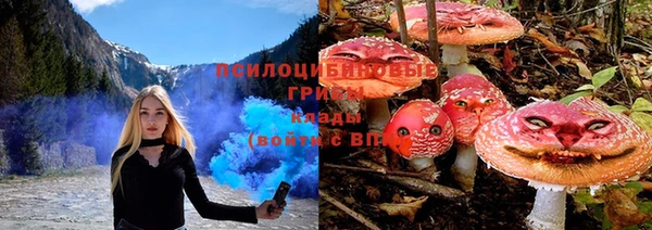 дживик Вяземский