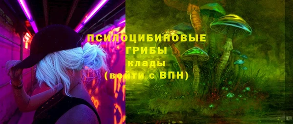 спиды Волоколамск