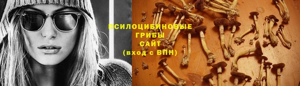 дживик Вяземский
