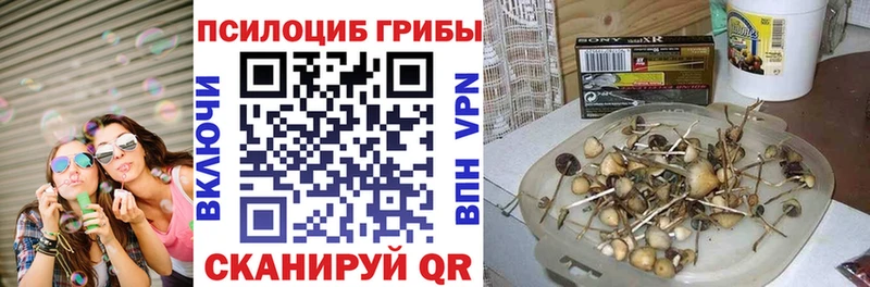 хочу наркоту  это клад  Псилоцибиновые грибы прущие грибы  Верхняя Салда 